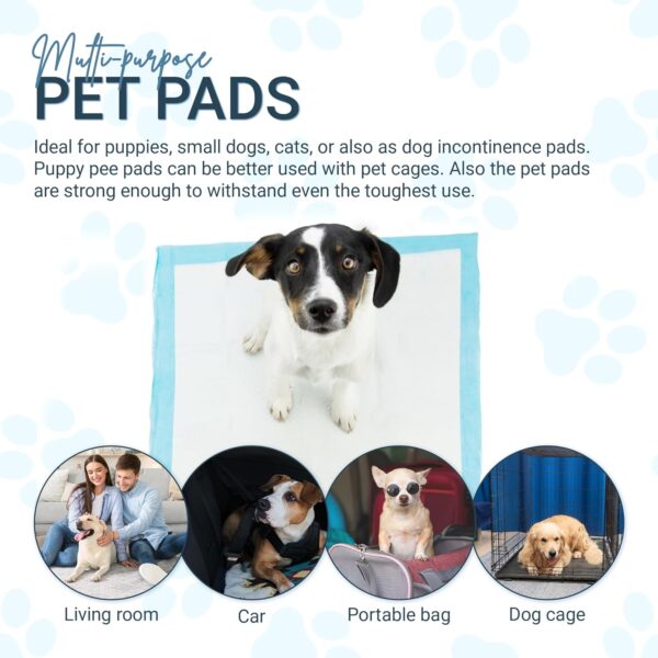 SA Products Puppy Pads 50 Pack, Puppy Training Pads, Puppy Pads | Super Absorbent Large Puppy Pads | Leak-Proof Heavy Duty Training Pads | Dog Pads, Puppy Training, Dog Training Pads, (56 x 56cm) - Image 6