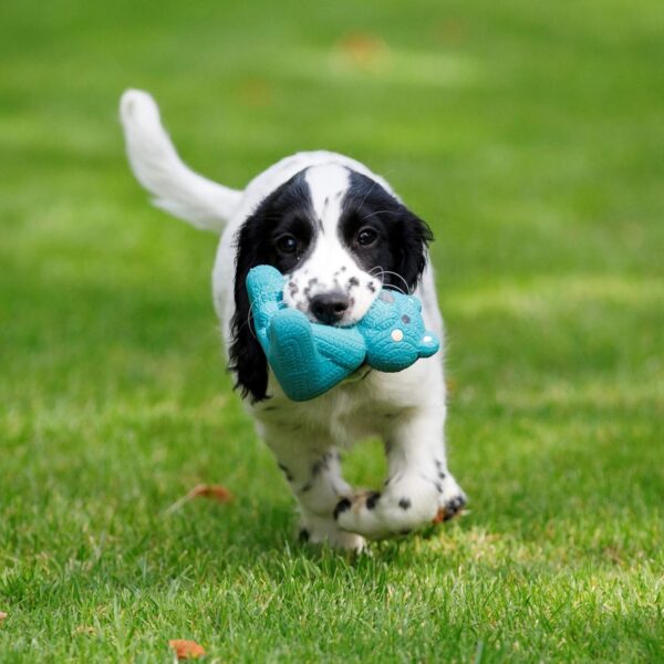 Petface (Little Petface) Teddy Bear, Latex Chew Dog Toy, Blue - Image 6