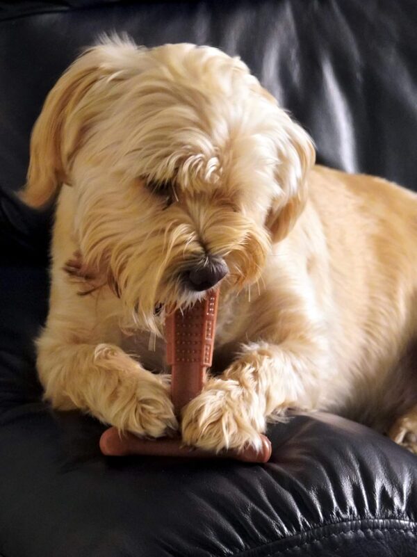 Bamboodles T-Bone Chew Toy for Dogs - Small 4" Peanut Butter Flavour, for All Breed Sizes - Image 5