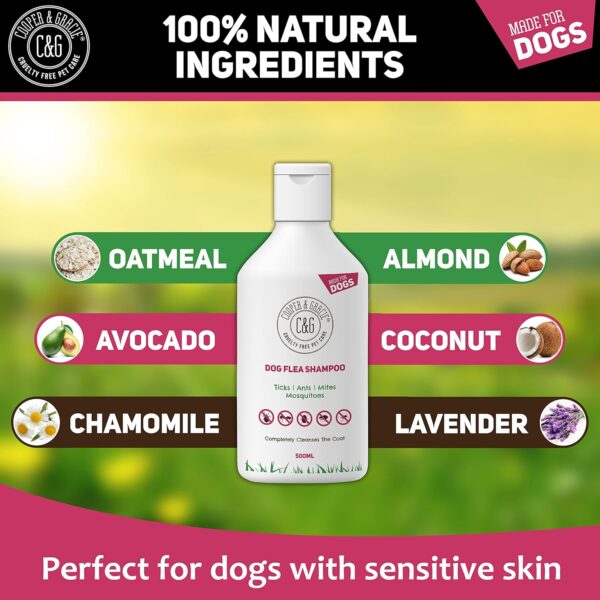 Cooper And Gracie C&G Cruelty free Pet Care Flea Shampoo For Dogs 500ml - Sensitive Itchy Skin Dog and Puppy Grooming - Medicated Fleas Treatment, Lavender - Image 3