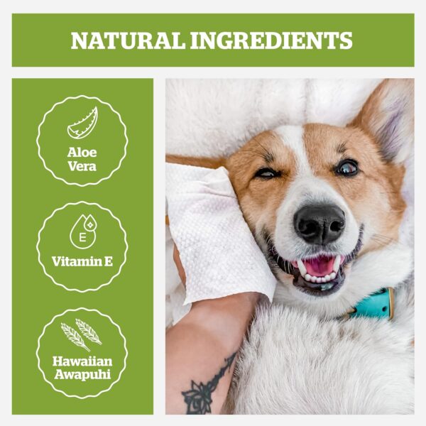 Pogi's Dog Grooming Wipes Travel Packs - 120 Dog Wipes for Cleaning and Deodorising - Hypoallergenic Pet Wipes for Dogs, Puppy Wipes - Quick Bath Dog Wipes for Paws, Butt, & Body - Fragrance Free - Image 2