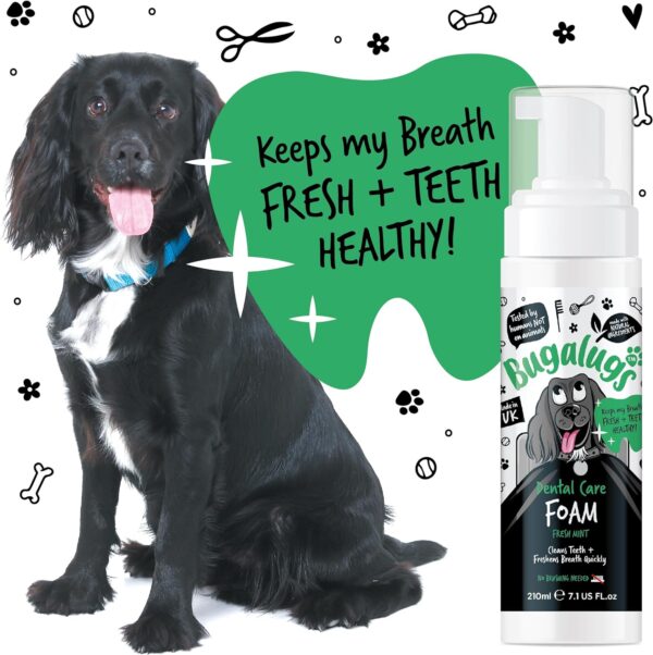 BUGALUGS Dog Breath Freshener Dental Care Foam. Clean Teeth, Healthy Gums & Fresh Breath - Natural Dog plaque remover & tartar remover for teeth - No Brushing Needed (Dog 210ml Foam) - Image 8