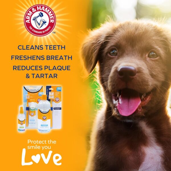 ARM & HAMMER Fresh Spectrum Coconut Mint Dog Dental Spray, 118ml, Best Dental Care for Dogs, Removes Plaque & Tartar, Freshens Breath, Gum & Teeth Cleaning, No Brushing, Easy to Use Pet Oral Hygiene - Image 7