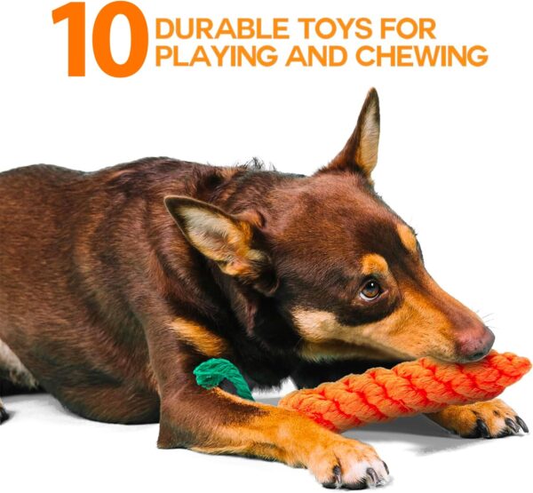 ZENO Chew Dog Toys - Pack of 10 | Teething & Training Washable Cotton Safe Dog Toy Gift Set | Strong Ropes, Balls & Tug for Exercise & Fun | Great for Small, Medium & Large Puppies & Dogs - Image 3