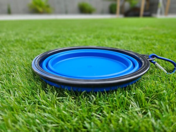 Collapsible Travel Dog Bowl Portable Large Or Small Pet Water and Food Feeding Bowl Outdoor Easy To Carry With Hook Blue or Pink (Blue Large) - Image 4