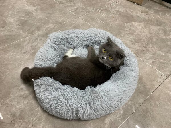 TOHDNC Cat Dog Round Bed 50cm, Calming Fluffy Plush Cat Bed Anti Anxiety Cozy Donut Pet Bed Cuddler with Non-Slip Bottom Warming Dog Bed Washable Cushion for Small Medium Dogs and Cats - Image 7