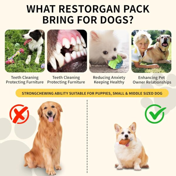 Restorgan 22 PACK Puppy Toys Set, Small Dog Toys Puppy Teething Toys with Dog Toy Box, Puppy Chew Toys, Dog Rope Toys Set with Cute Squeaky Dog Toys for Small and Medium Dogs Playing and Training - Image 6