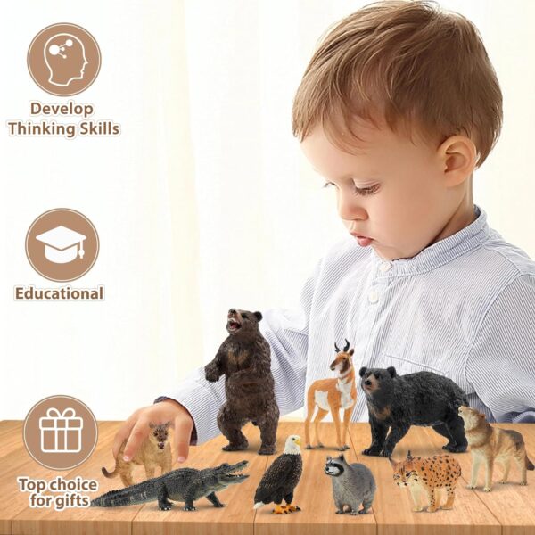 toymany 12PCS North American Forest Animal Figurines, Realistic Jungle Animal Set Includes Raccoon,Lynx,Wolf,Bear,Eagle, Educational Toy Cake Toppers Christmas Birthday Gift for Kids Toddlers - Image 8