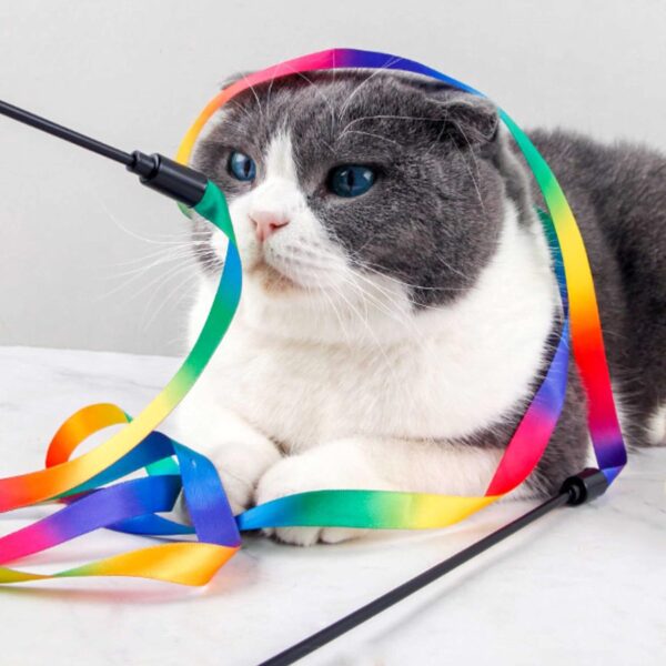 Cretty-Meet 2pcs Cat Wand Interactive Toy Colorful Fabric Ribbon Rainbow Cat String Toy Cat Teaser Wand for Kitten Exerciser Accessories Cat Training Playing Creative Funny Indoor Pet Interactive Toy - Image 3