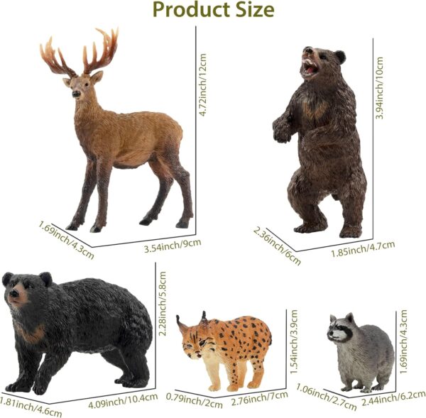 toymany 12PCS North American Forest Animal Figurines, Realistic Jungle Animal Set Includes Raccoon,Lynx,Wolf,Bear,Eagle, Educational Toy Cake Toppers Christmas Birthday Gift for Kids Toddlers - Image 6