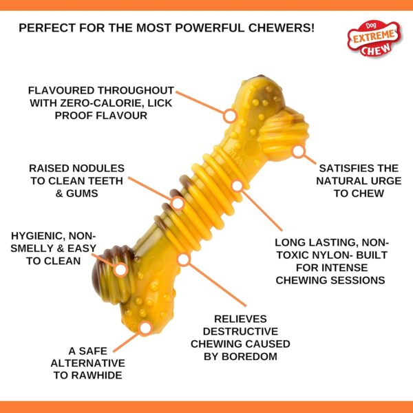 Nylabone Extreme Tough Dog Chew Toy Bone, Durable, Cleans Teeth, Beef & Cheese, Medium, for Dogs Up to 16 kg - Image 4