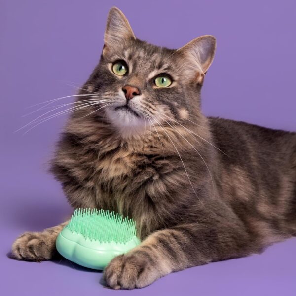 Tangle Teezer | Pet Teezer | Cat Grooming Brush | Short, Medium Hair | Soft Bristles to Detangle Knots | Green - Image 3