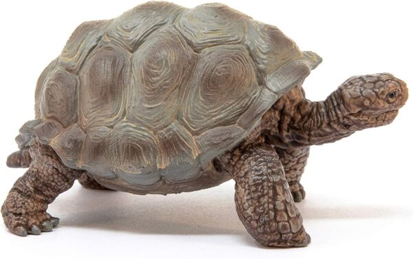 schleich Wild Life 14824 Realistic Exotic Galapagos Giant Tortoise Figurine - Wild Animal Giant Tortoise Toy for Wildlife Play and Imagination - Animal Toys Gift for Boys, Girls, Kids Ages 3+ - Image 4