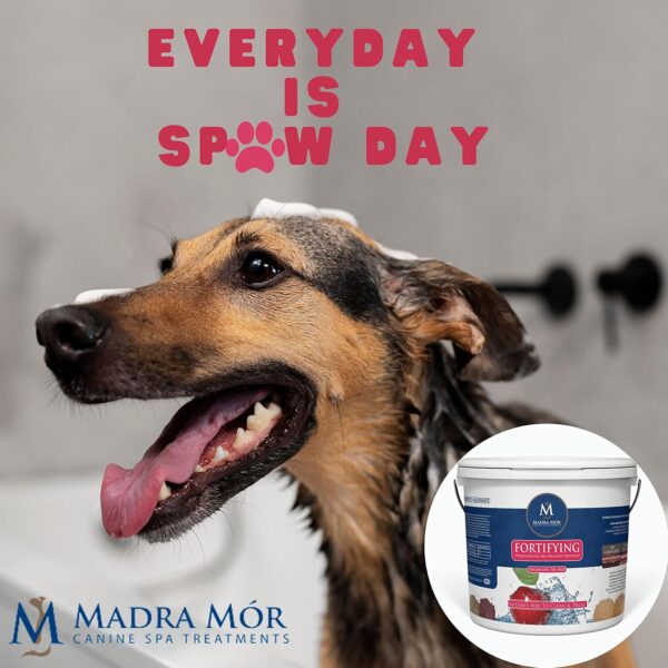 Madra Mor Dog Essentials Fortifying Spa Mud | Dog Wash | Dog Grooming | Dry Skin for Dogs Treatment | Dog Bath | Dog Coat Skin Care Products | 7.5lb Pail w Worldwide Nutrition Multi Purpose Key Chain - Image 6