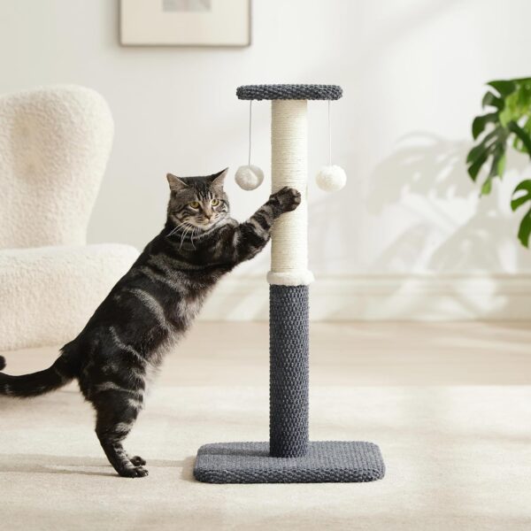 Lesure Cat Scratching Post for Indoor Cats - 74cm Highly Resistant Carpet Scratch Poles, Premium Sisal Rope Scratch Posts Tall with Hanging Ball for Kitten and Adult Cats, Grey - Image 7