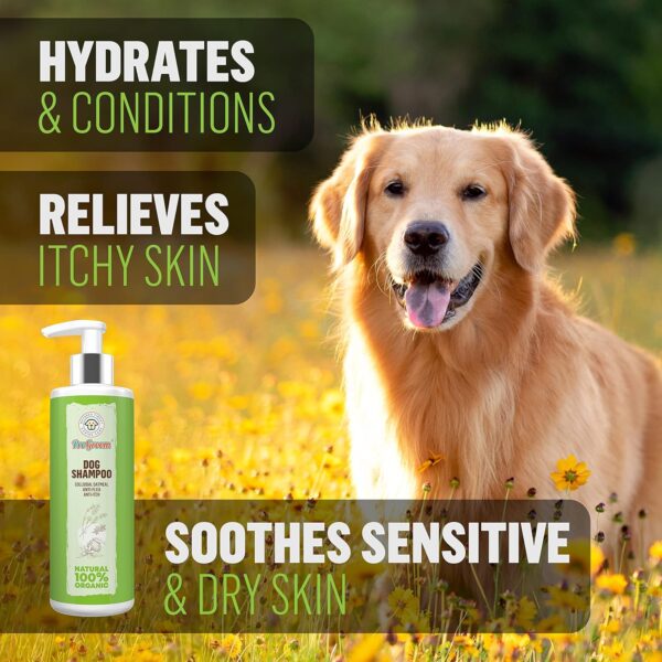 Oatmeal Dog Shampoo Natural and Organic - Shampoo (Flea) Treatment and Itchy Skin Relief Formula - Grooming Puppy Sensitive Shampoo and Conditioner for Smelly Dogs - Image 5