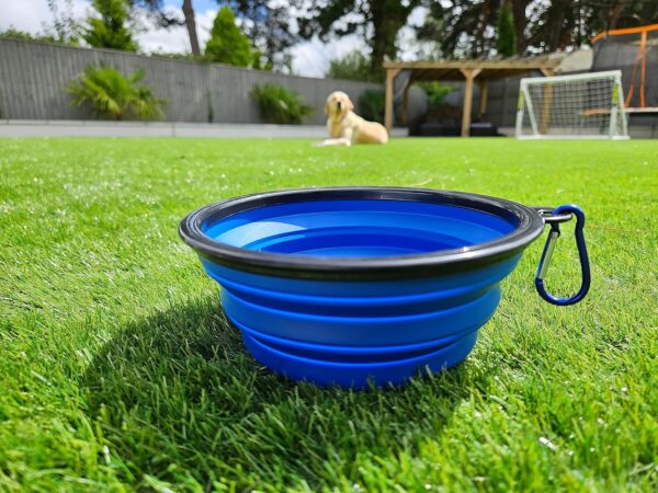 Collapsible Travel Dog Bowl Portable Large Or Small Pet Water and Food Feeding Bowl Outdoor Easy To Carry With Hook Blue or Pink (Blue Large) - Image 3