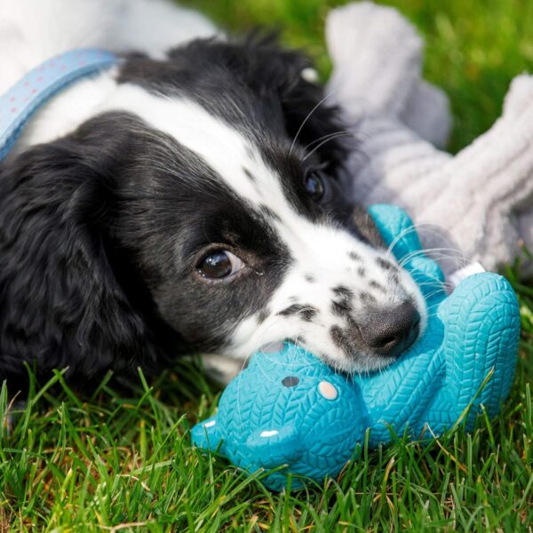 Petface (Little Petface) Teddy Bear, Latex Chew Dog Toy, Blue - Image 7