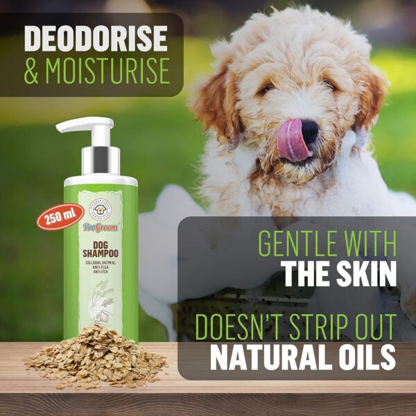 Oatmeal Dog Shampoo Natural and Organic - Shampoo (Flea) Treatment and Itchy Skin Relief Formula - Grooming Puppy Sensitive Shampoo and Conditioner for Smelly Dogs - Image 4