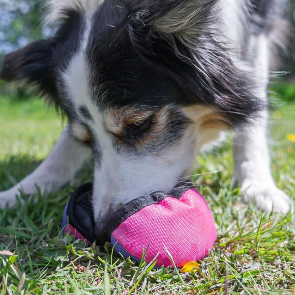 Tug-E-Nuff The Clam | Compact Dog Treat Dispenser Toy with Clever Opening Mechanism | Ideal for Interactive Dog Training | Pocket-friendly and Size 4.5 inches - Image 7