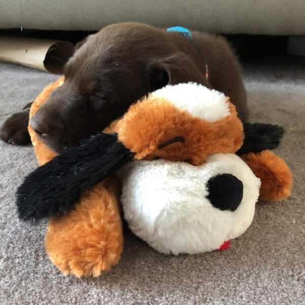 Snuggle Puppy Heartbeat Stuffed Toy for Dogs - Pet Anxiety Relief and Calming Aid - Brown and White - Image 3