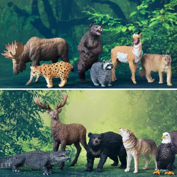 toymany 12PCS North American Forest Animal Figurines, Realistic Jungle Animal Set Includes Raccoon,Lynx,Wolf,Bear,Eagle, Educational Toy Cake Toppers Christmas Birthday Gift for Kids Toddlers - Image 5