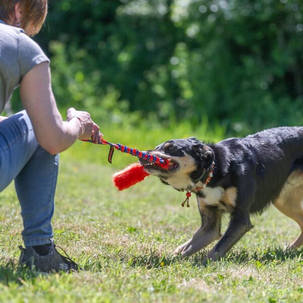 Tug-E-Nuff Bright Fauxtastic Durable Bungee Tug Toy for Dogs | For Interactive Dog Training & Dogs of all Ages | Artificial Fur Bungee Tug Toy | Made of Faux Fur | 3 Colour Patterns | Size 22.5 inches - Image 3