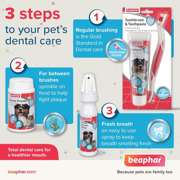 Beaphar | Toothbrush & Toothpaste Dental Care Kit | For Dogs & Cats | Includes a Double-Ended Toothbrush & Liver-Flavoured Enzymatic Toothpaste, 100g Tube, 2 Count ( Pack of 1) - Image 3