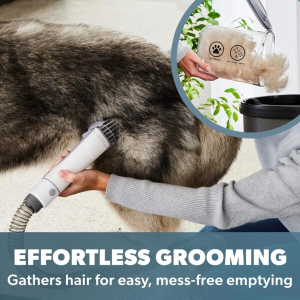 Daewoo Dog Grooming Vacuum Kit, Suitable for Both Cats & Dogs, Quiet Mode for Nervous Pets, Easy Carry Handle with 7 Attachments, Salon Experience, for Dogs, Cats and Any Furry Friends, Pet Grooming - Image 3