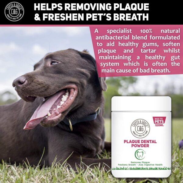 C&G Pets | Plaque Dental Powder 100ML | Plant Based Antibacterial Dog Mouthwash Plaque Off | Natural Ingredients Dog Plaque Remover | Ideal for Dog Dental Care Plaque Off Dogs Plaque Off - Image 3