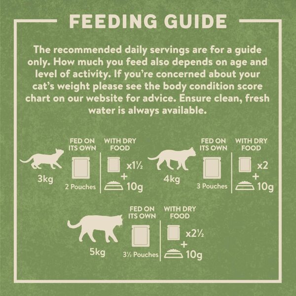 Harringtons Grain Free Meat Selection in Jelly Wet Cat Food 72x85g, Beef, Chicken, Lamb & Turkey - Image 7