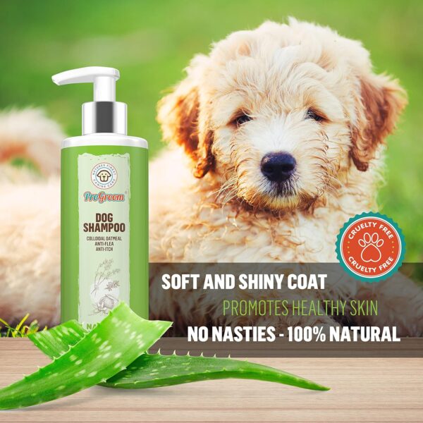 Oatmeal Dog Shampoo Natural and Organic - Shampoo (Flea) Treatment and Itchy Skin Relief Formula - Grooming Puppy Sensitive Shampoo and Conditioner for Smelly Dogs - Image 6