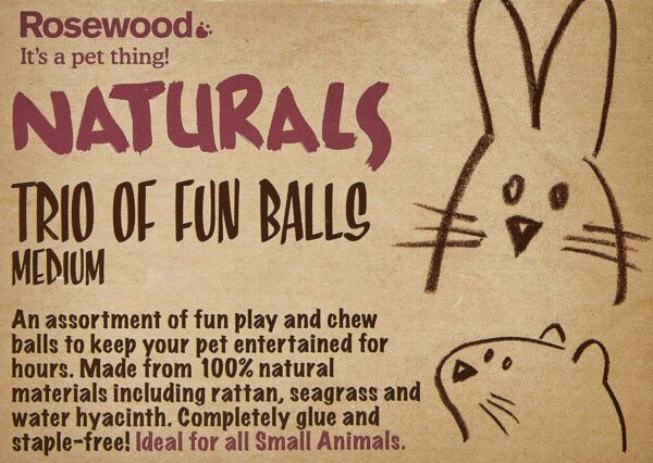 Rosewood Boredom Breaker Small Animal Naturals Toy Trio of Fun Balls, Natural, 3 Count (Pack of 2), Medium - Image 3