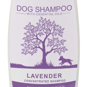 Ancol Lavender Dog Shampoo 200 ml (Pack of 1)