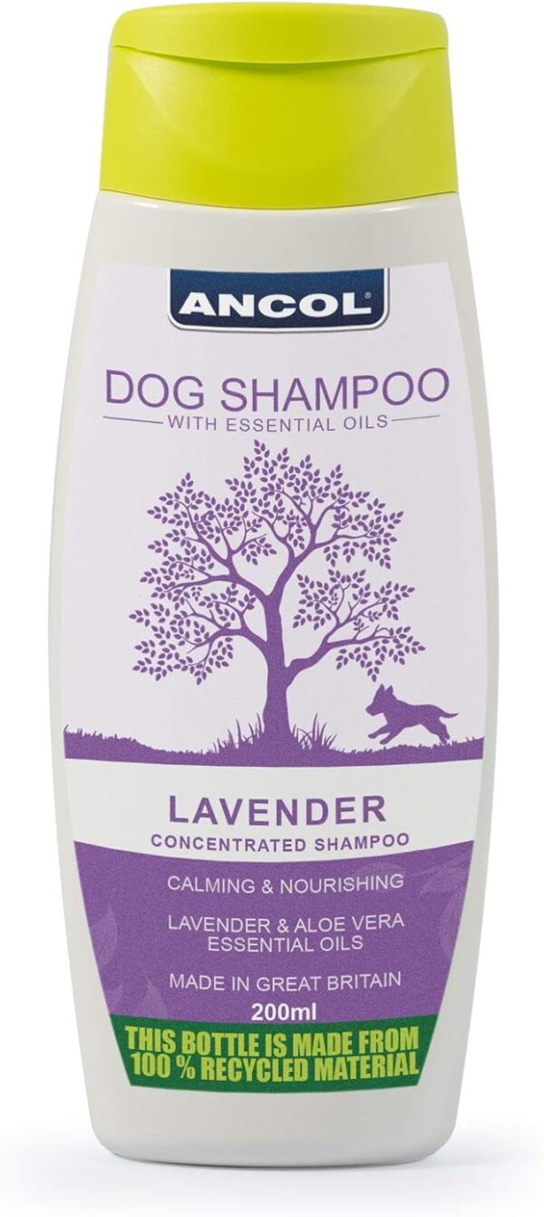 Ancol Lavender Dog Shampoo 200 ml (Pack of 1)