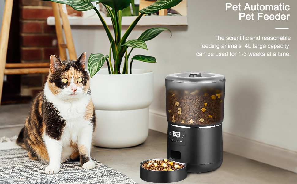 automatic cat feeder cat food dispenser cat feeder automatic with timer automatic feeders for cats