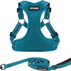 Best Pet Supplies Voyager Adjustable Dog Harness Leash Set with Reflective Stripes for Walking Heavy-Duty Full Body No Pull Vest with Leash D-Ring, Breathable All-Weather Wear - Turquoise, M