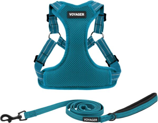 Best Pet Supplies Voyager Adjustable Dog Harness Leash Set with Reflective Stripes for Walking Heavy-Duty Full Body No Pull Vest with Leash D-Ring, Breathable All-Weather Wear - Turquoise, M