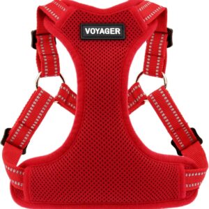 Best Pet Supplies Voyager Adjustable Dog Harness with Reflective Stripes for Walking, Jogging, Heavy-Duty Full Body No Pull Vest with Leash D-Ring, Breathable All-Weather - Harness (Red), M