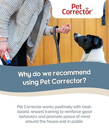 Pet Corrector