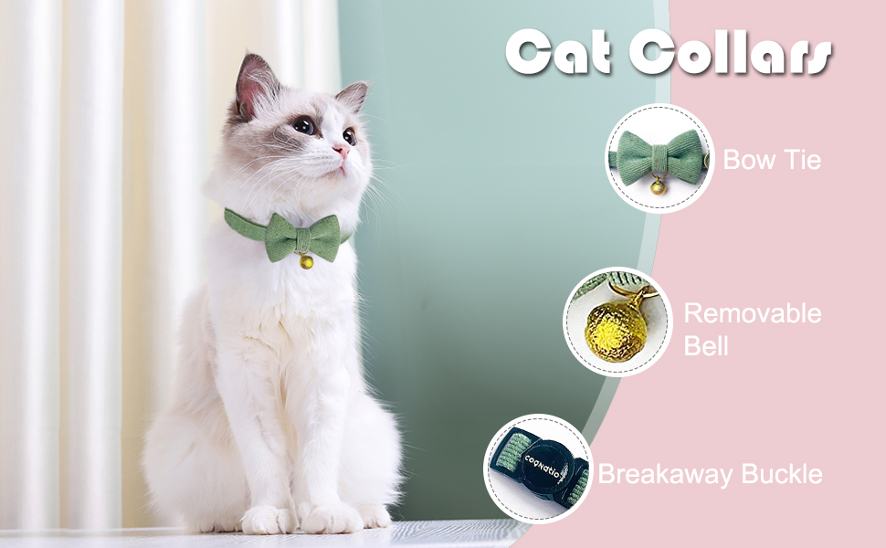 cat collars