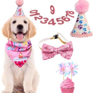 Dog Birthday Decorations Party Supplies - Pink Dog Birthday Set with Hat Pink Numbers Bandana Cake Topper Bow Tie for Girl Small Medium Pets Cats Dogs Happy Birthday Party Celebration Supplies