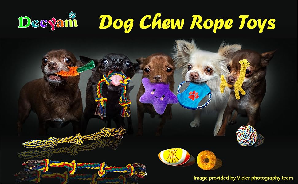 Dog Rope Chewing Toy Set