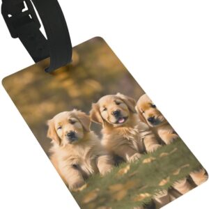 Golden Retriever Dogs Puppies Pets Print Suitcase Tag Fun Luggage Label Cruise - Instrument Bag Case Tags Travel Accessories