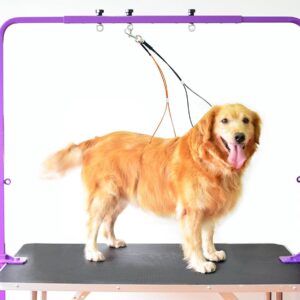 Gravitis Pet Supplies Overhead Pet Grooming Arm with Clamps and Harness – Suitable for use with Dog Grooming Table - Purple