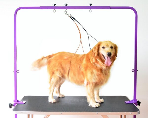 Gravitis Pet Supplies Overhead Pet Grooming Arm with Clamps and Harness – Suitable for use with Dog Grooming Table - Purple