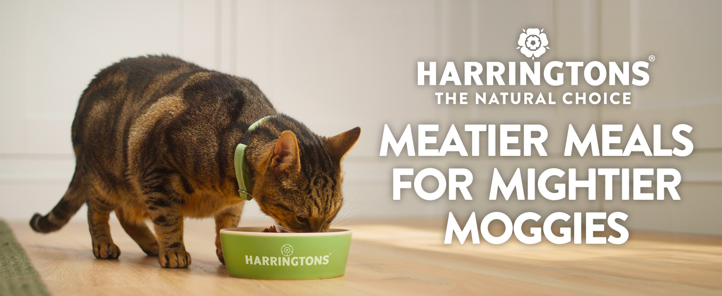 meatier meals for mightier moggies