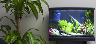 interpet aquarium products