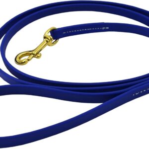 J&J Dog Supplies Biothane Dog Leash, 1/2" Wide by 6' Long, Blue