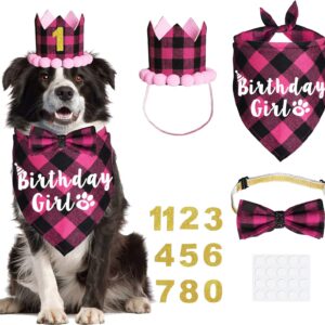 JOTFA Dog Birthday Party Supplies, Plaid Dog Birthday Bandana Girl with Dog Birthday Number Crown Hat Bowtie for Small Medium Dogs Birthday Outfit (Pink, Bandana & Hat & Bow Tie & Number)